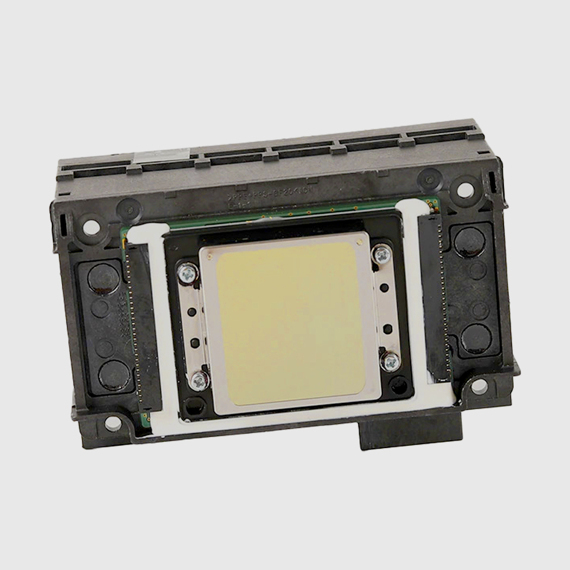 Головка печатная XP600